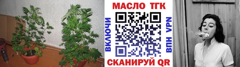 купить наркотик  Курильск  Дистиллят ТГК THC oil 