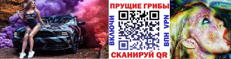 Псилоцибиновые грибы GOLDEN TEACHER  Курильск 